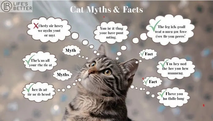 Cat Myths and Facts