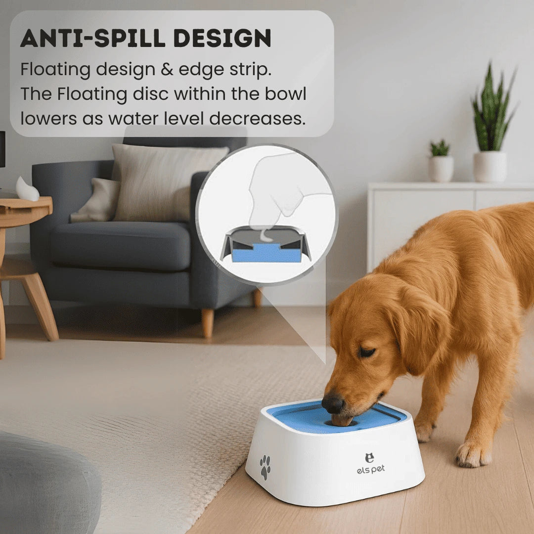 Non-Spill Dog Drinking Water Bowl