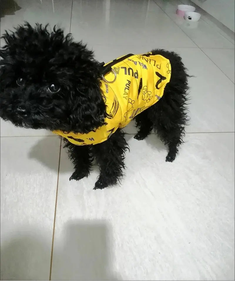 Big Fashion Dog Waterproof Jacket: Comfort and Style for Your Canine Life’s Better Ltd