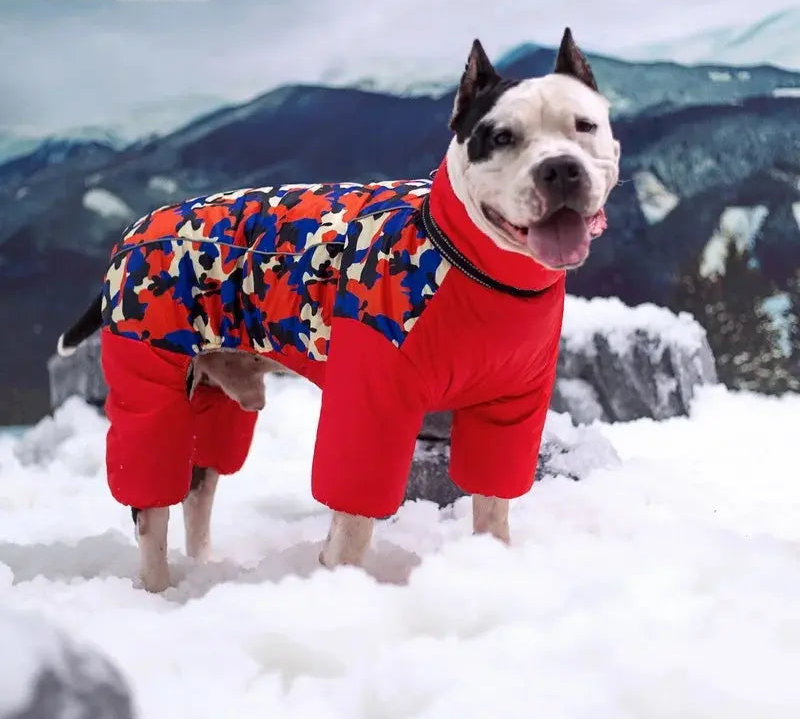 Camouflage Pattern Dog Coat Life’s Better Ltd