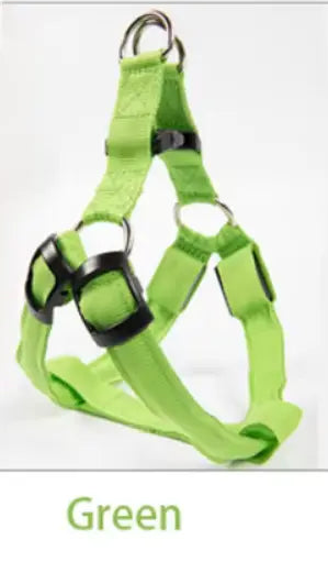Nylon Pet Safety Harness with LED Lights: Safe and Adjustable.