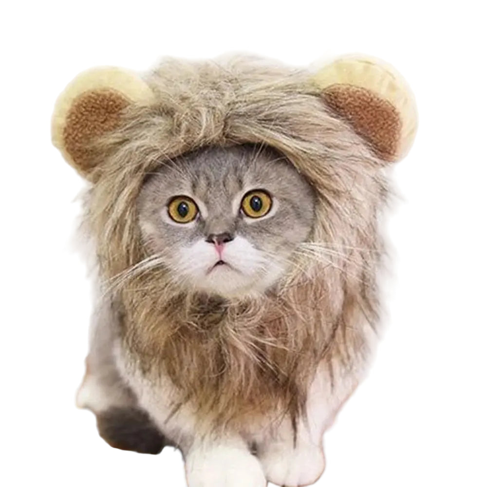 Lion Mane Wig for Small Dogs and Cats!.