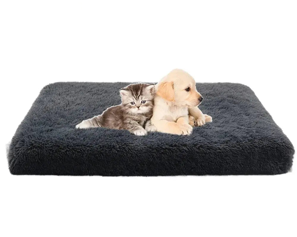 Luxury Orthopedic Memory Foam Dog Bed.