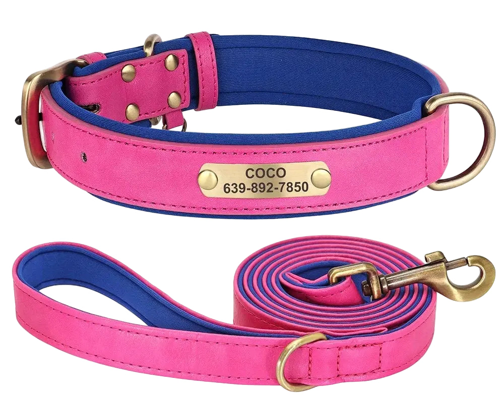 Personalised Dog Collar Lead Set Crafted with Beautiful Soft subtle PU leather & ID tag.