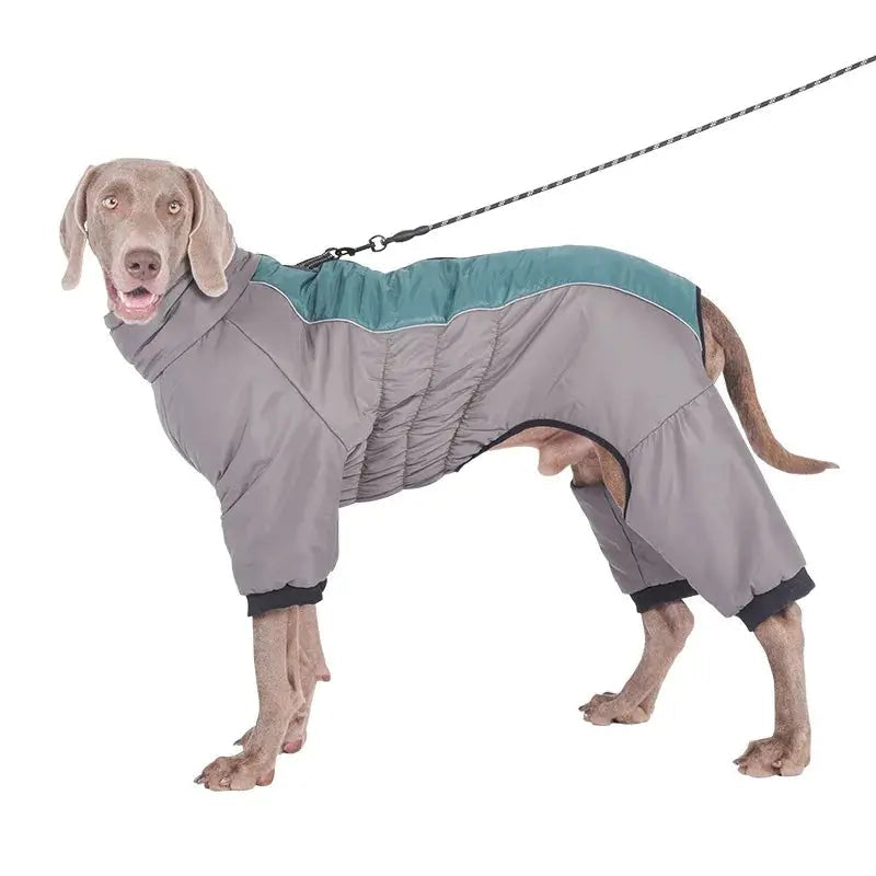 Reflective Waterproof Dog Padded Coat Life’s Better Ltd