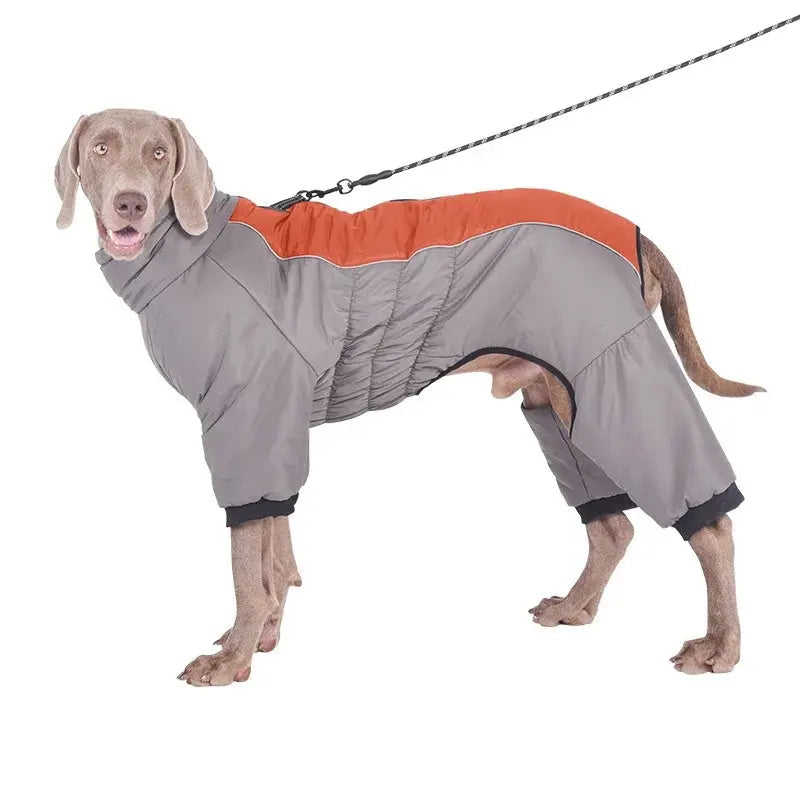 Reflective Waterproof Dog Padded Coat Life’s Better Ltd