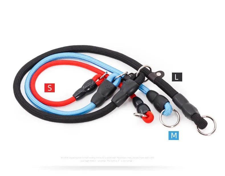 Dog Slip Collar Leash
