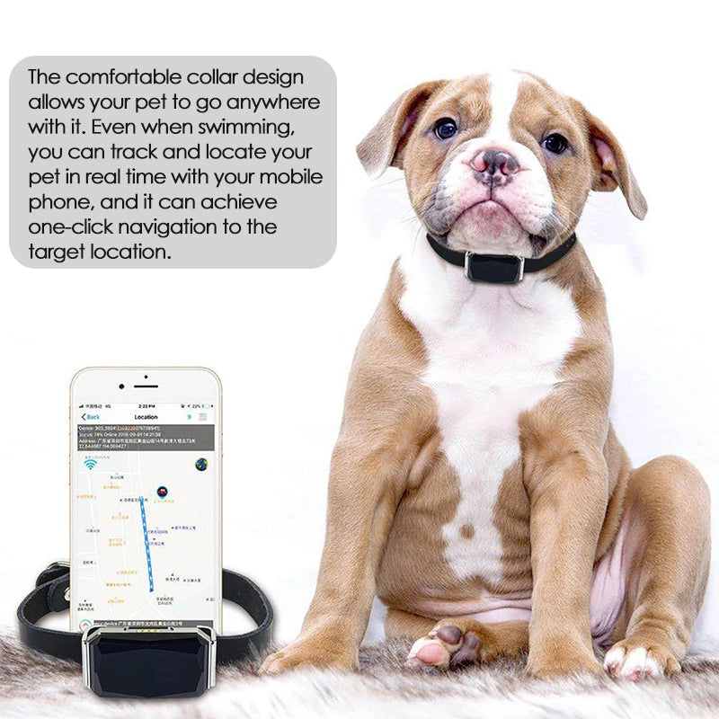 Adjustable Collar Waterproof Real-Time Pet GPS Location Tracker
