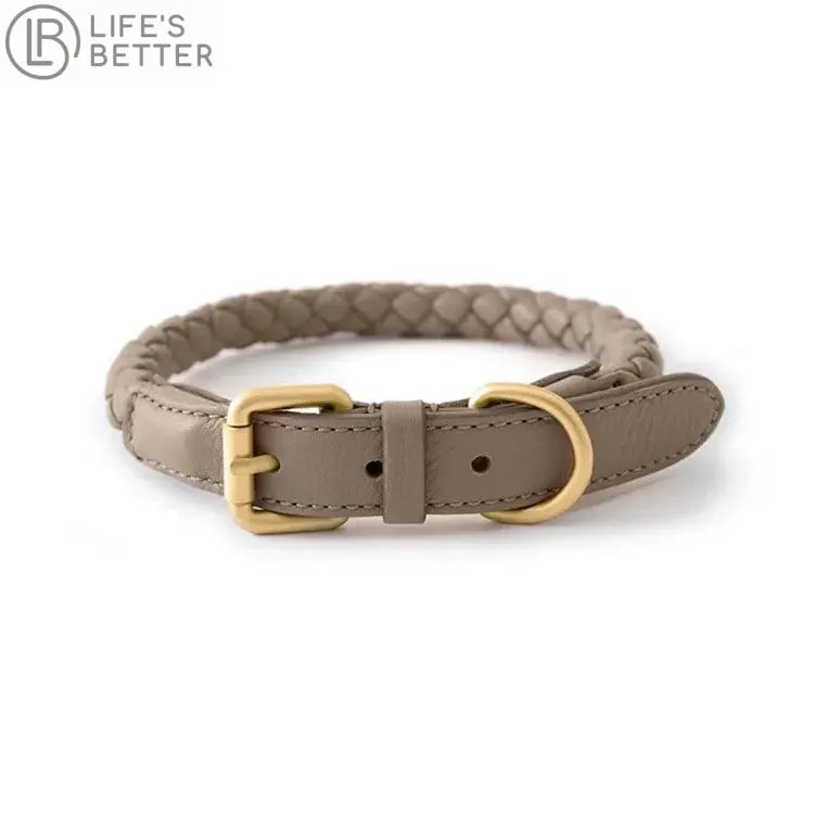 Stylish Woven Leather Dog Collar.