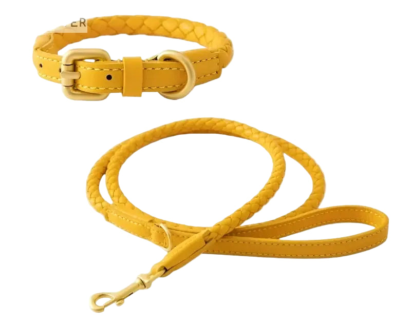 Exquisitely Stylish Woven Leather Dog Collar & Lead Set.
