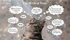 Cat Myths and Facts