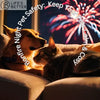 Bonfire Night Pet Safety: Keep Your Pets Calm & Cosy