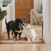 🐾 Essential Tips for First-Time Pet Owners 🐾