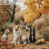 Embracing Autumn: Keeping Pets and Wildlife Safe