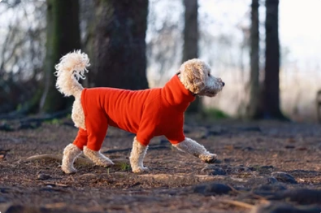 Dog Fleece & Onesies