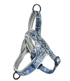 Nylon Dog  Harness with Leash.