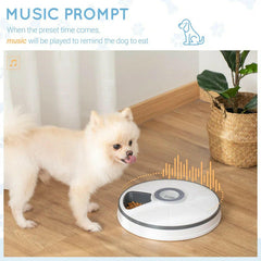 Automatic Pet Feeder.