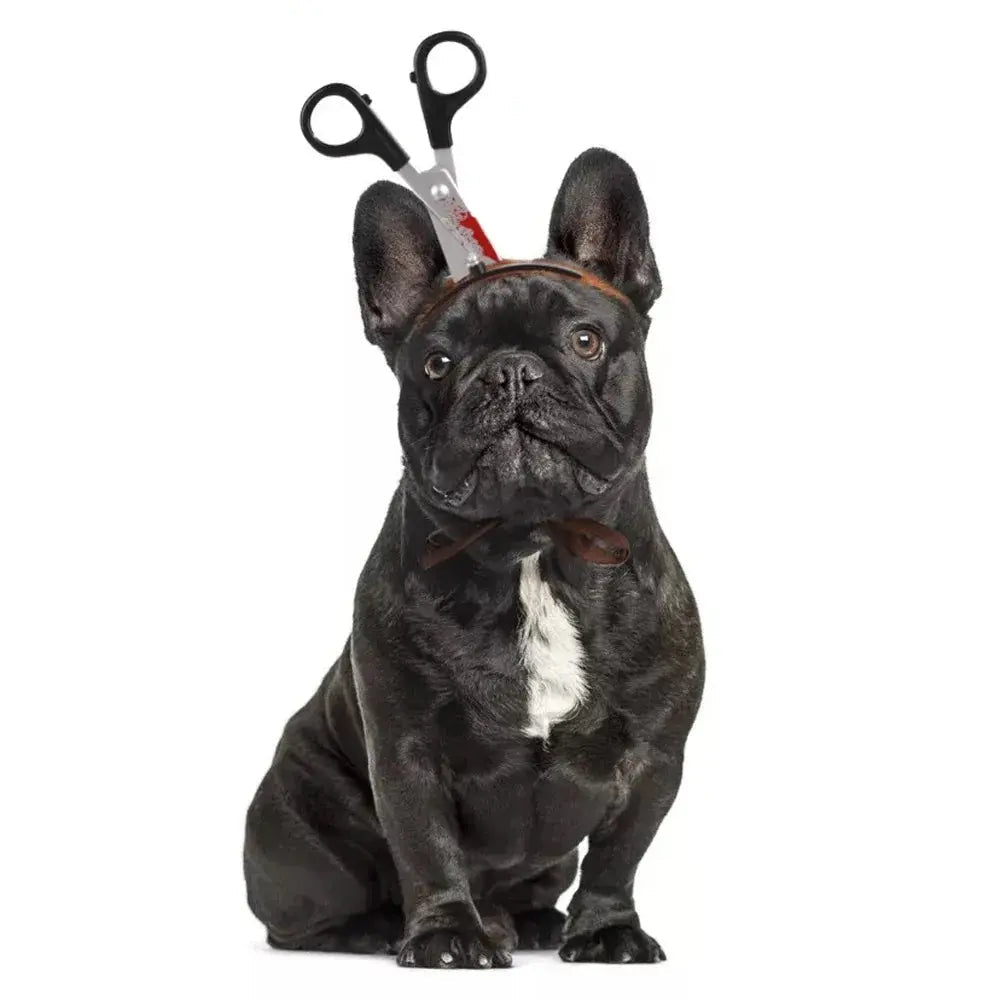 7 Different Halloween Dog Costume Hats.
