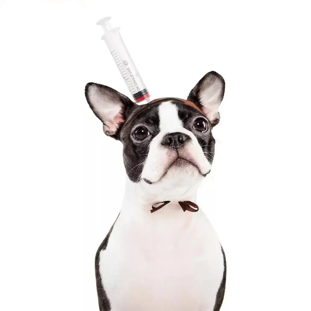 7 Different Halloween Dog Costume Hats.