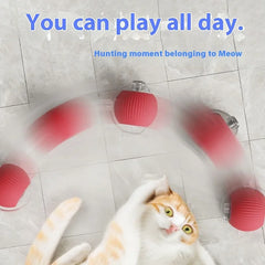 Interactive Electronic Cat Ball Toy.