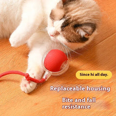 Interactive Electronic Cat Ball Toy.