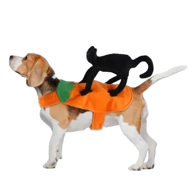 Black Cat on Your Back Costume for Pets.