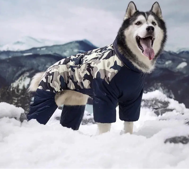 Camouflage Pattern Dog Coat Life’s Better Ltd