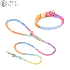Colourful Woven Rope Dog Lead & Collar Set.