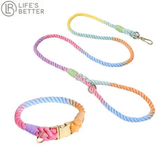 Colourful Woven Rope Dog Lead & Collar Set.