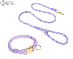 Colourful Woven Rope Dog Lead & Collar Set.