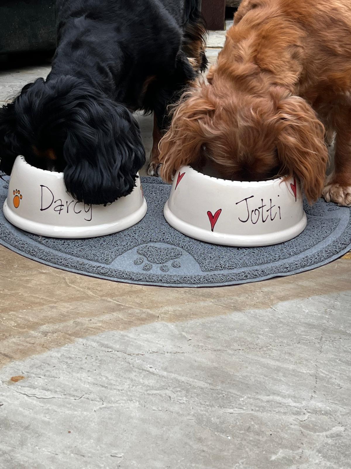 Two dogs eating from bowls labeled 'Darcy' and 'Jotti' on a mat.