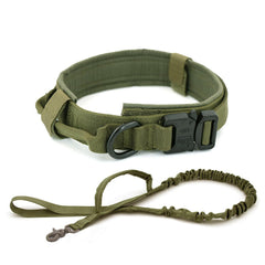 Tactical Dog Collar & Leash.