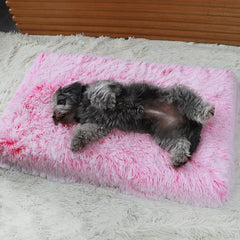 Luxury Orthopedic Memory Foam Dog Bed.