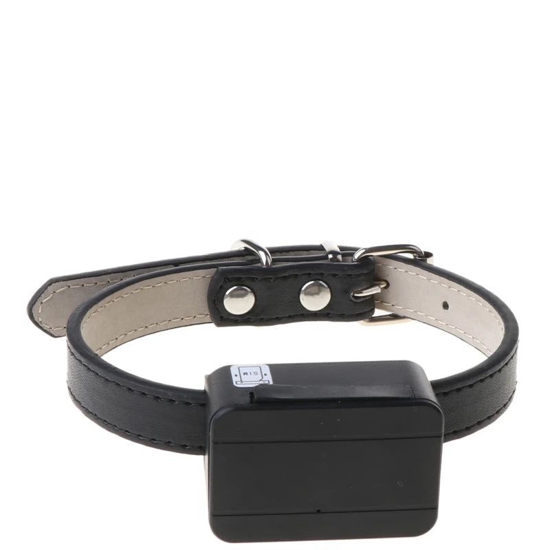 Pet locator device on a black leather collar with a cat wearing the collar inset.