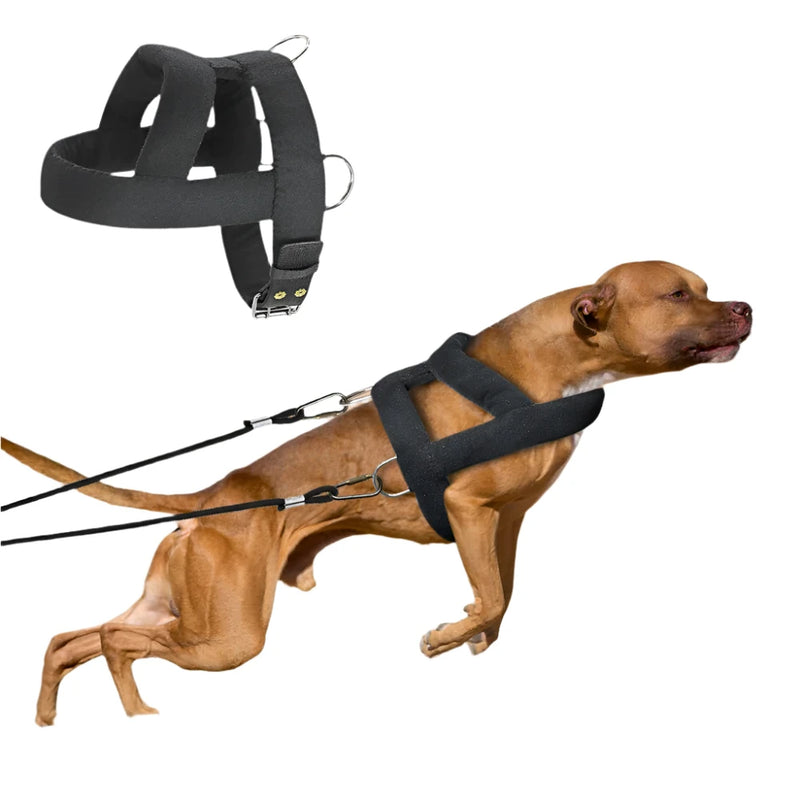 Weight Pulling Dog Training Harness.