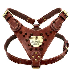 Personalised Leather Dog Harness.