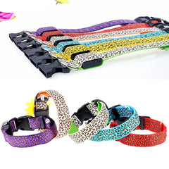 LED Light-Up Nylon Dog Collar for Night Safety!.