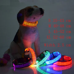 LED Light-Up Nylon Dog Collar for Night Safety!.