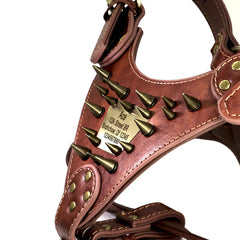 Personalised Leather Dog Harness.