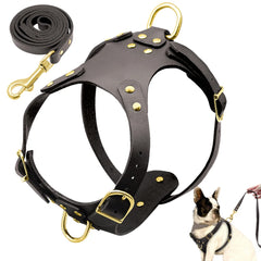 Premium Pit Bull Dog Harness & Leash Set – No Pull Genuine Leather for Ultimate Control.