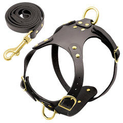 Premium Pit Bull Dog Harness & Leash Set – No Pull Genuine Leather for Ultimate Control.