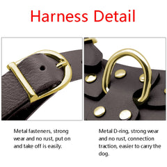 Premium Pit Bull Dog Harness & Leash Set – No Pull Genuine Leather for Ultimate Control.