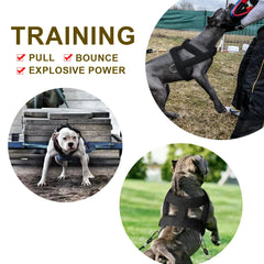 Weight Pulling Dog Training Harness.