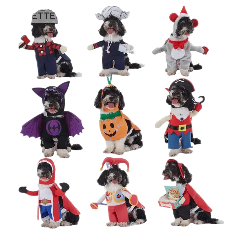 Halloween & Christmas Dog Costumes.