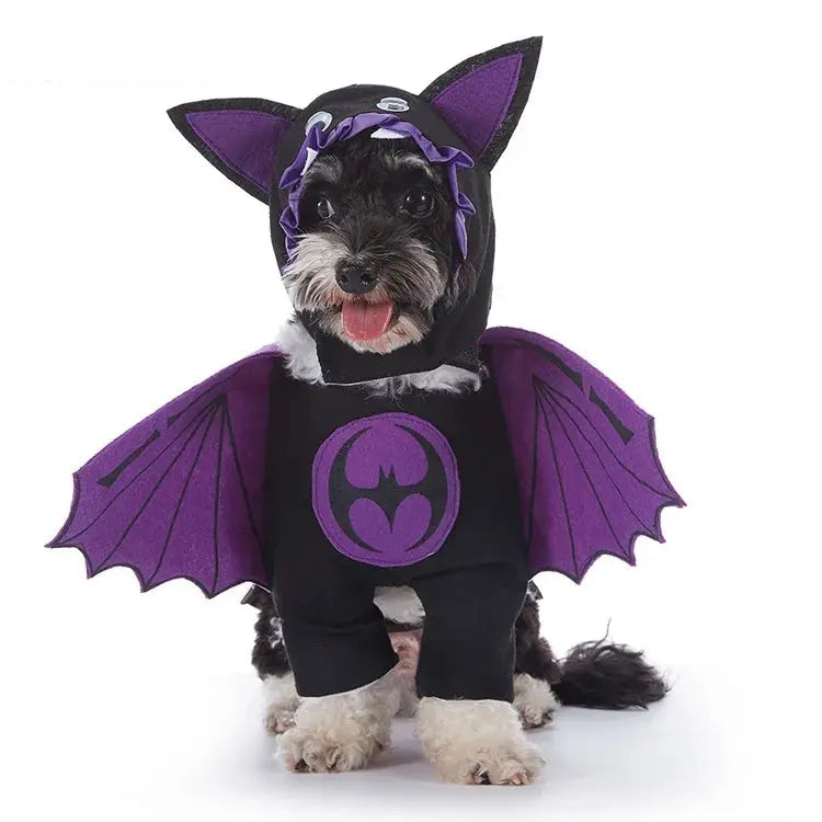 Halloween & Christmas Dog Costumes.