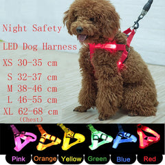 Nylon Pet Safety Harness with LED Lights: Safe and Adjustable.