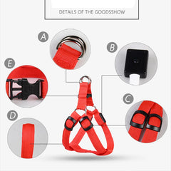 Nylon Pet Safety Harness with LED Lights: Safe and Adjustable.