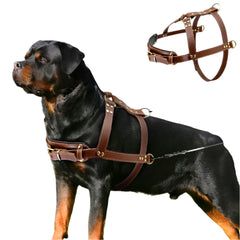 Premium Quality Strong Stubble Leather Dog Harness.