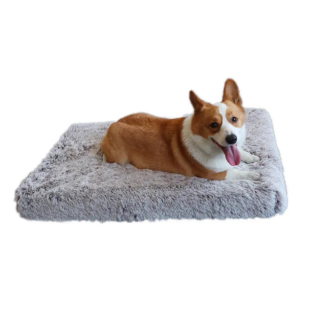 Luxury Orthopedic Memory Foam Dog Bed.