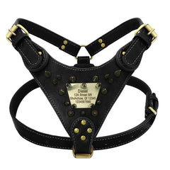 Personalised Leather Dog Harness.